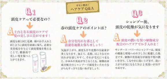 画像の説明