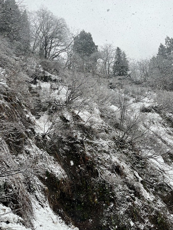 画像の説明 画像の説明