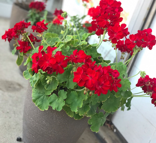 冬だと油断してはいませんか?① 冬だと油断してはいませんか?①