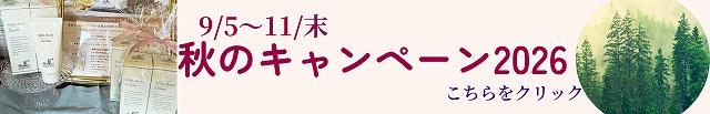 秋キャン 秋キャン